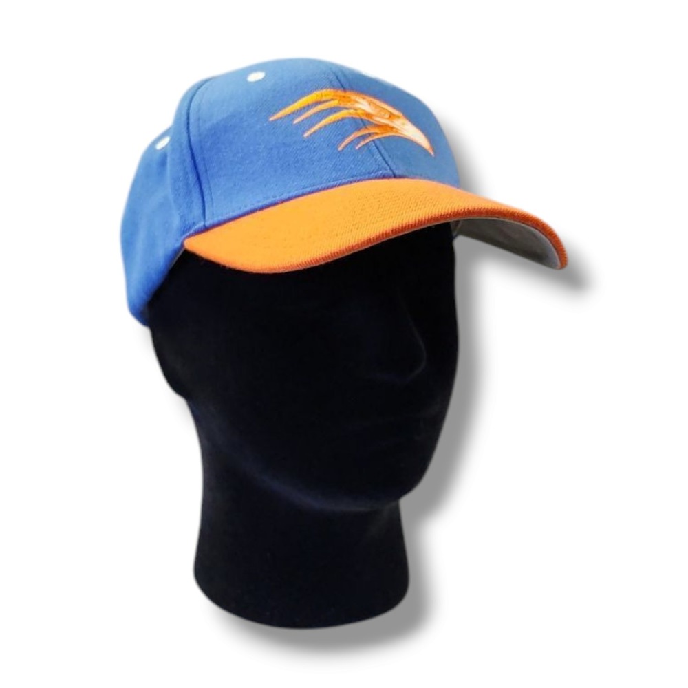 Atlanta Hawks Team Nike Strap Back Blue and Orange Hat‎ Cap One Size
